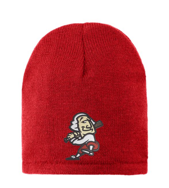 Beanie with Embroidery Logo