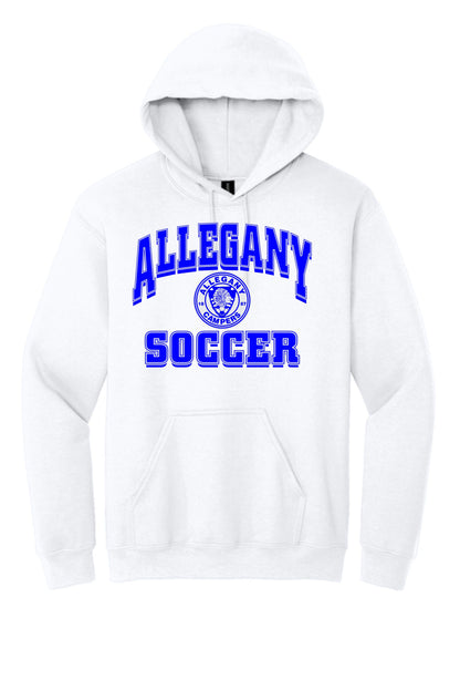 Cotton Hoodie Design 3