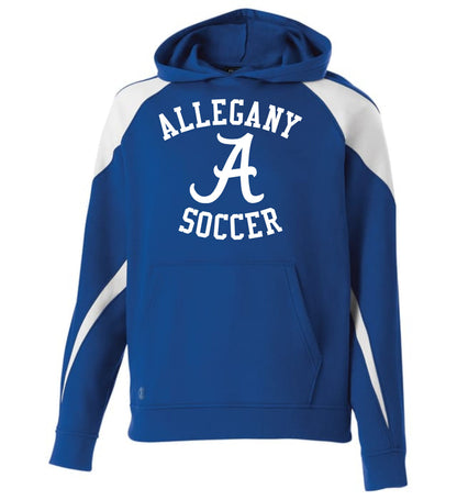Raglan Stripe Hoodie